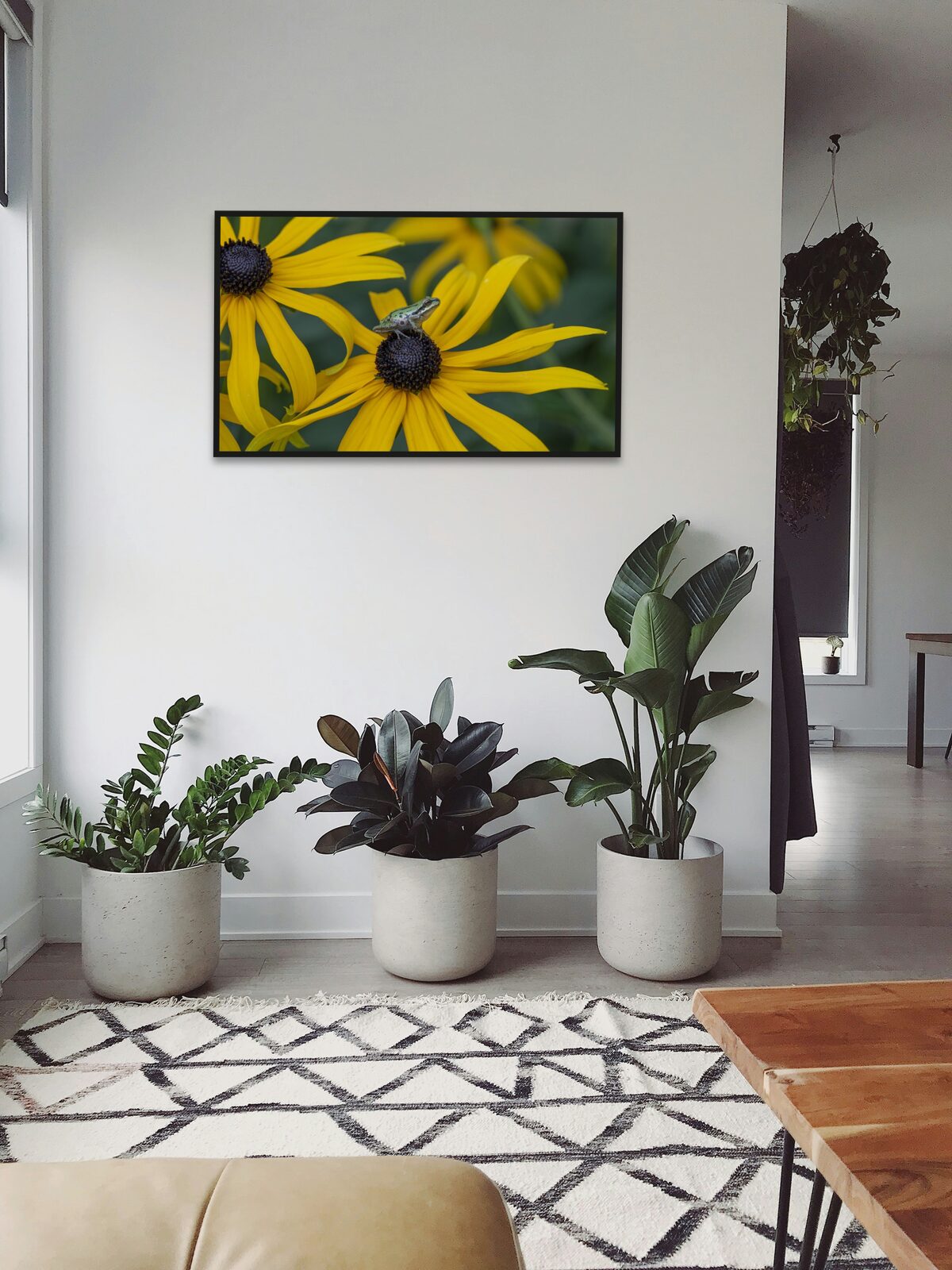 Room mockup