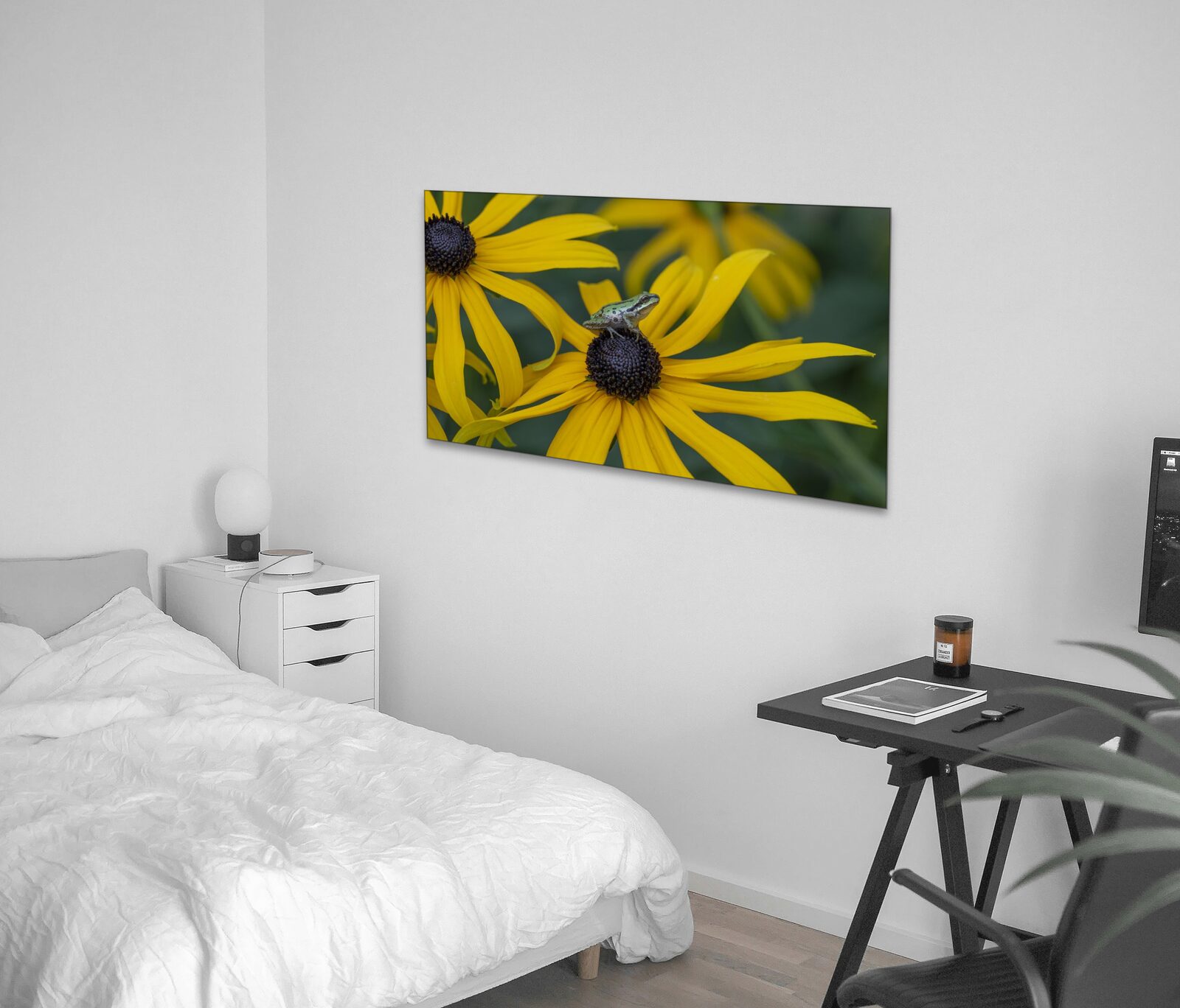 Room mockup