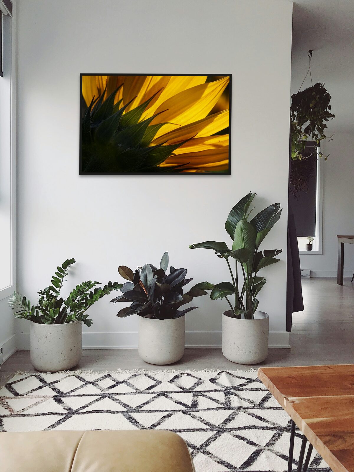 Room mockup
