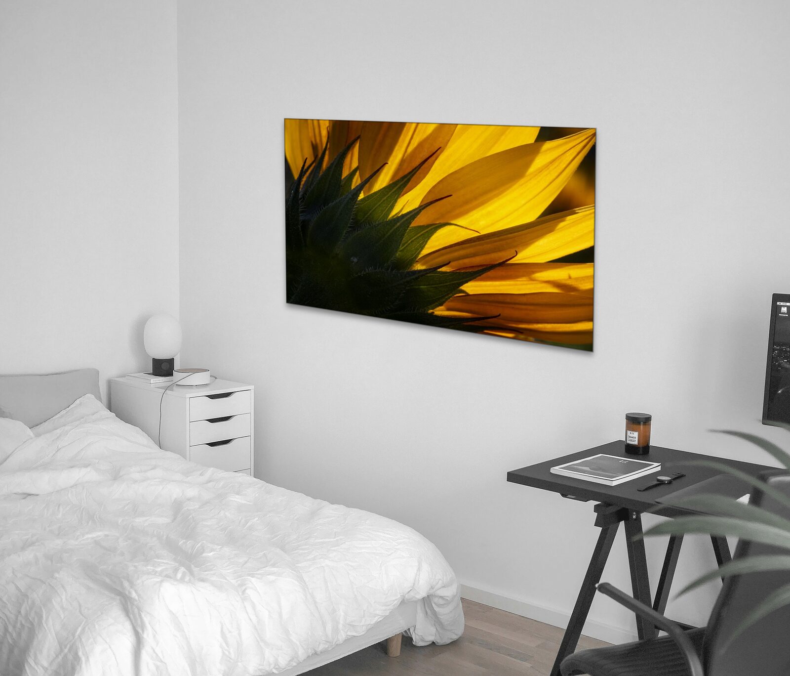Room mockup