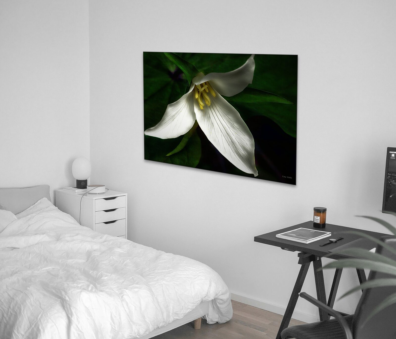 Room mockup