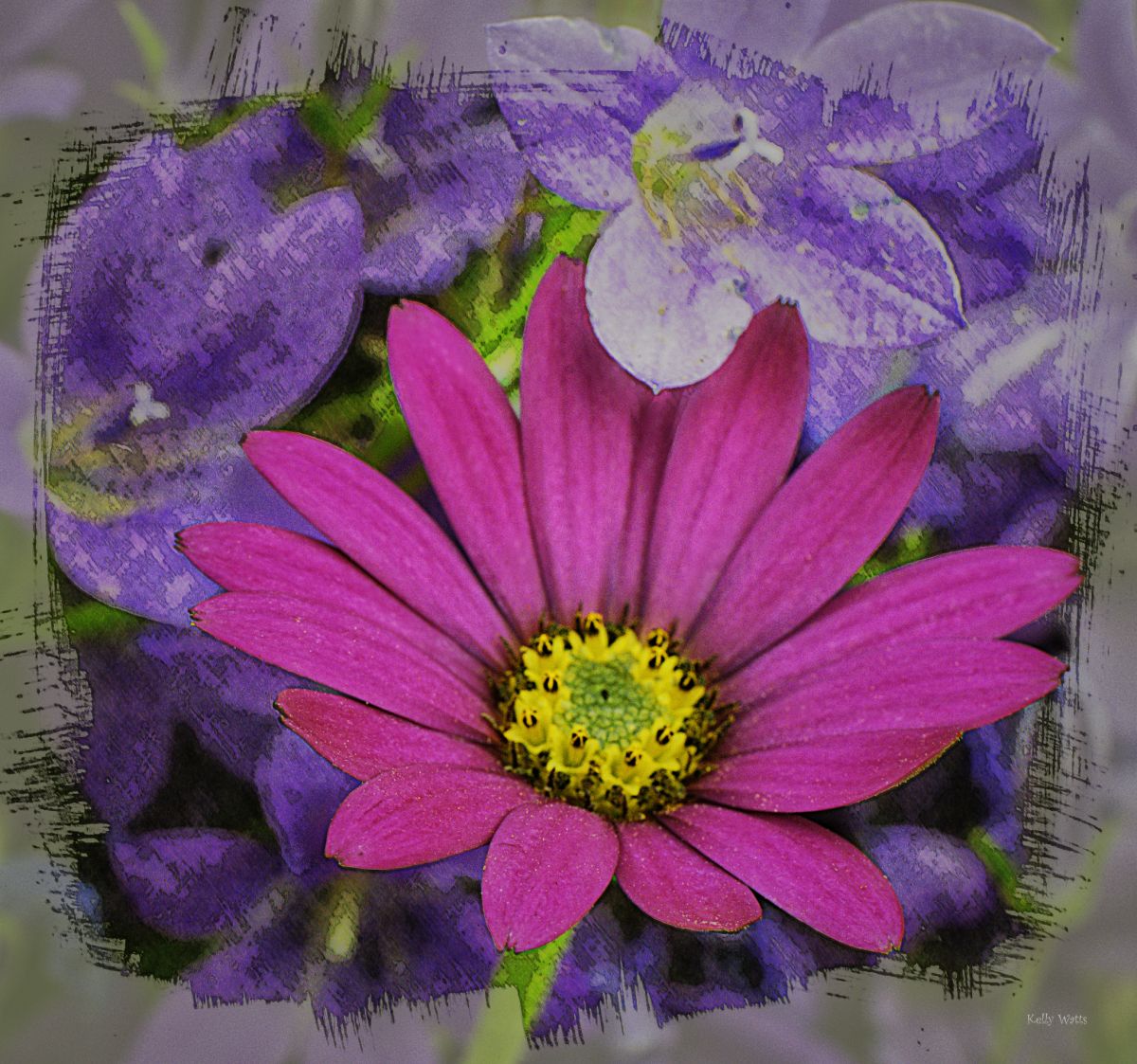 Pink and Lavender