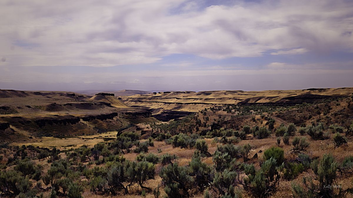 Basalt Canyon
