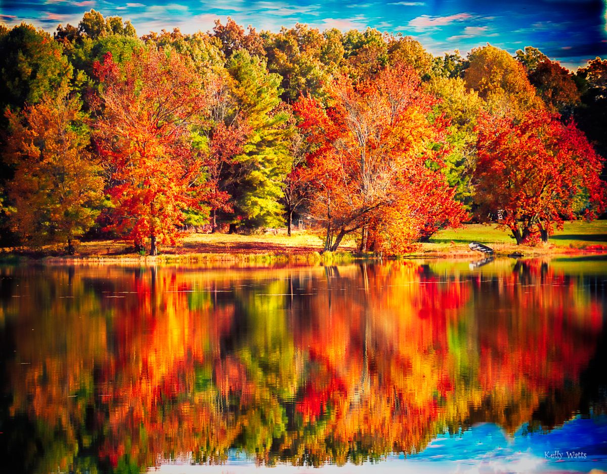 Red Reflections