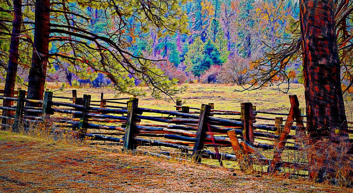 Mountain Pasture