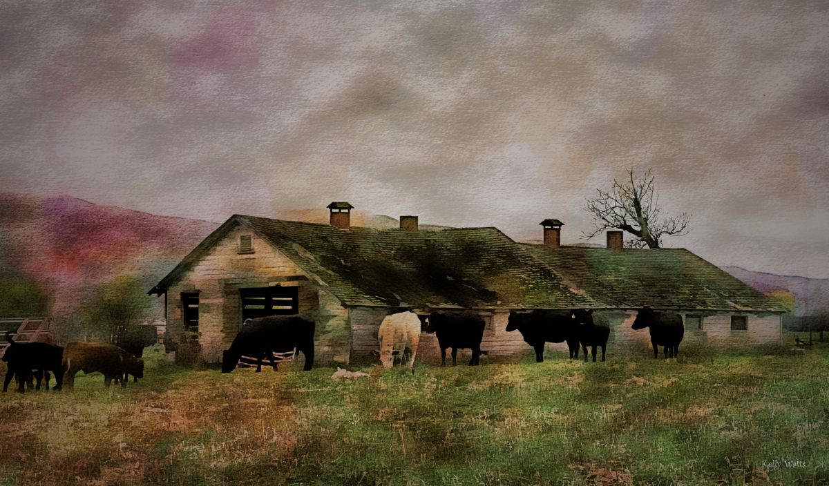 Home Range