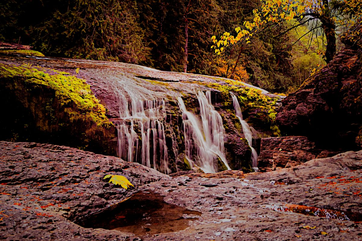 Dry Lewis River