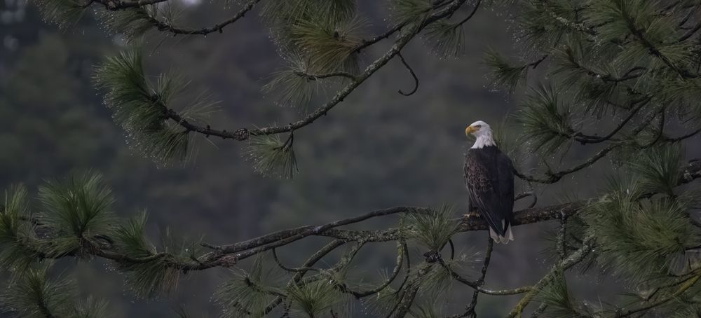 Surveying