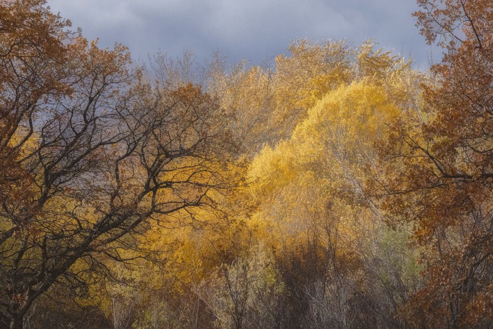 Autumn Storm