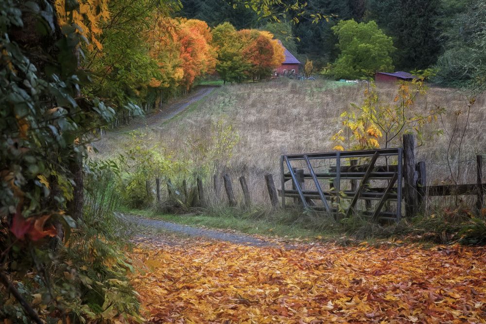 Fall Driveway