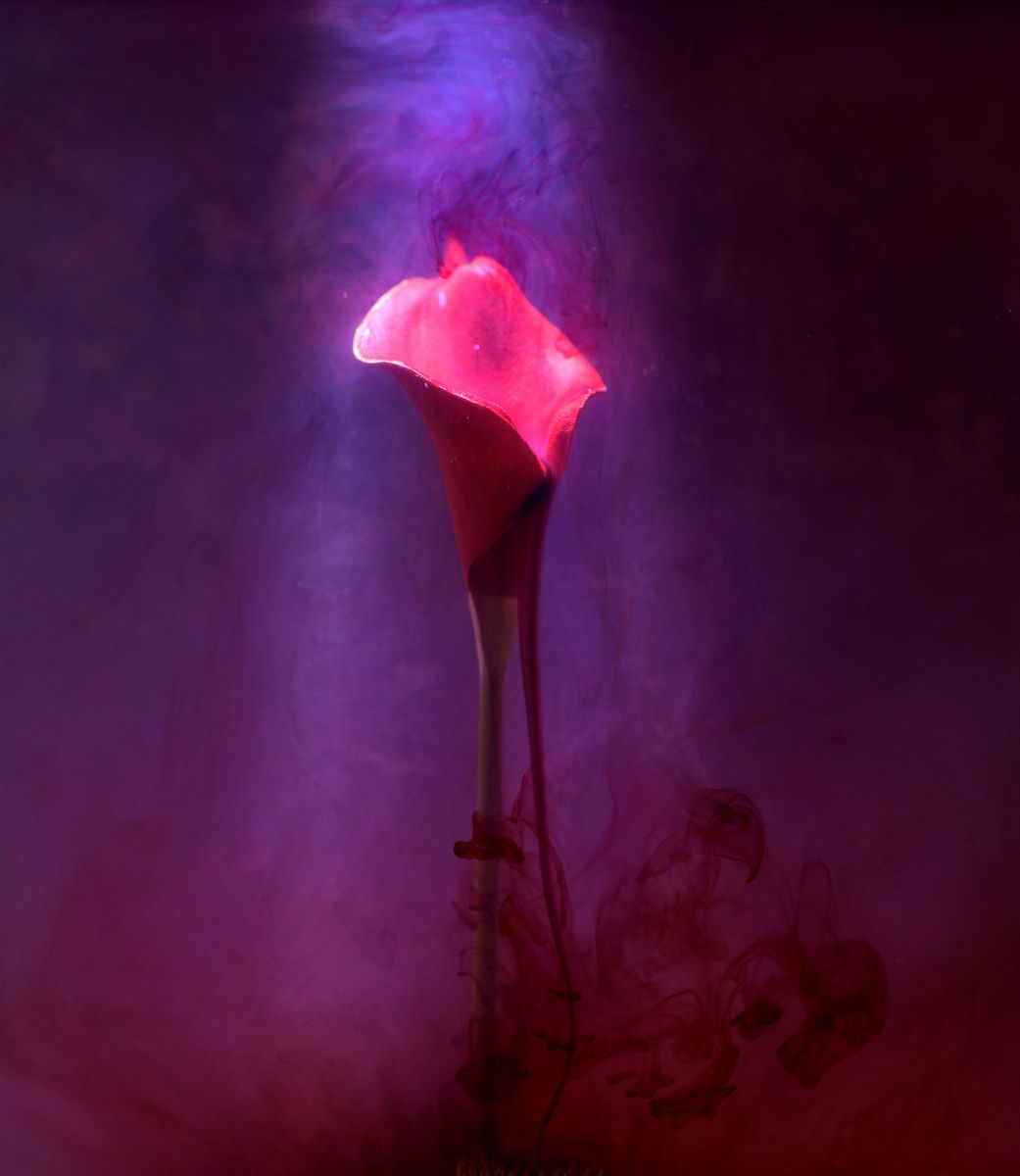 Emerge