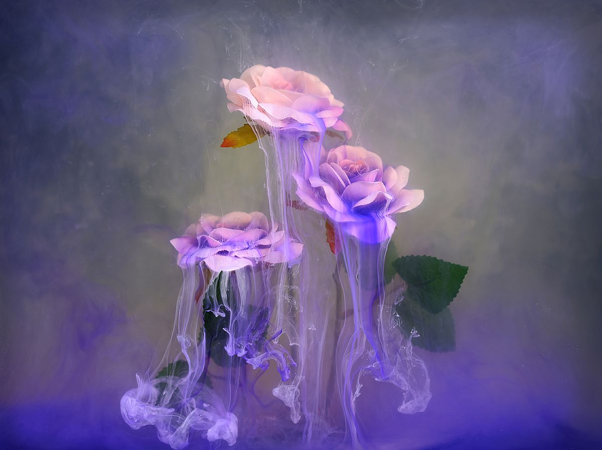 Tendrilled Veil