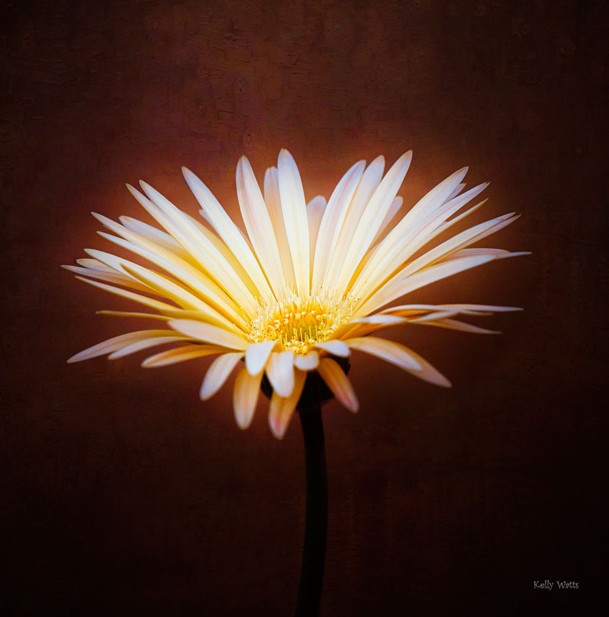 Light From Above