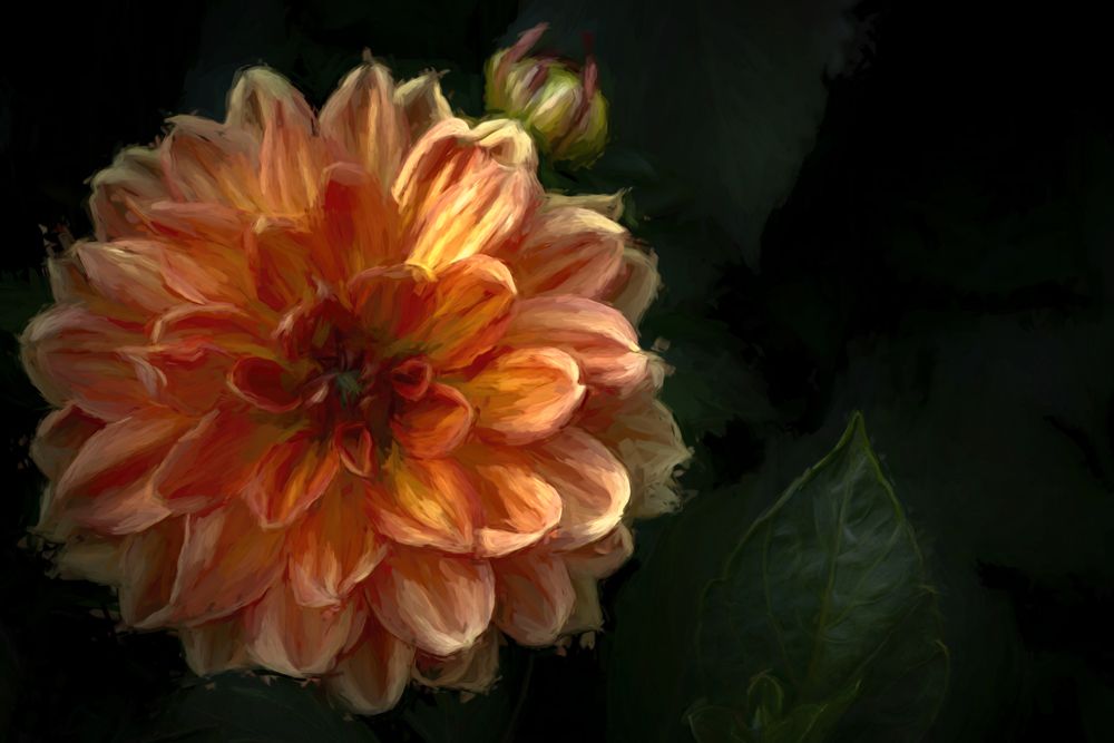 Summer Color