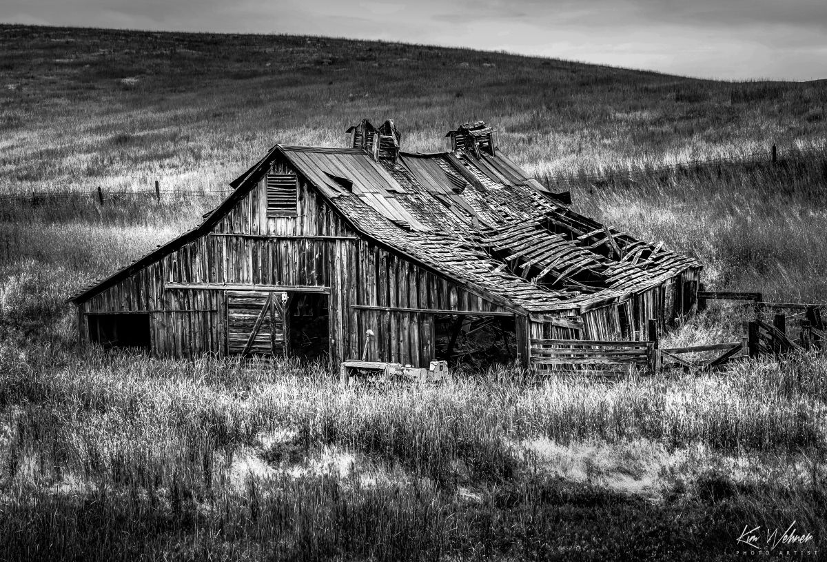Collapsed Barn in the Grasslands