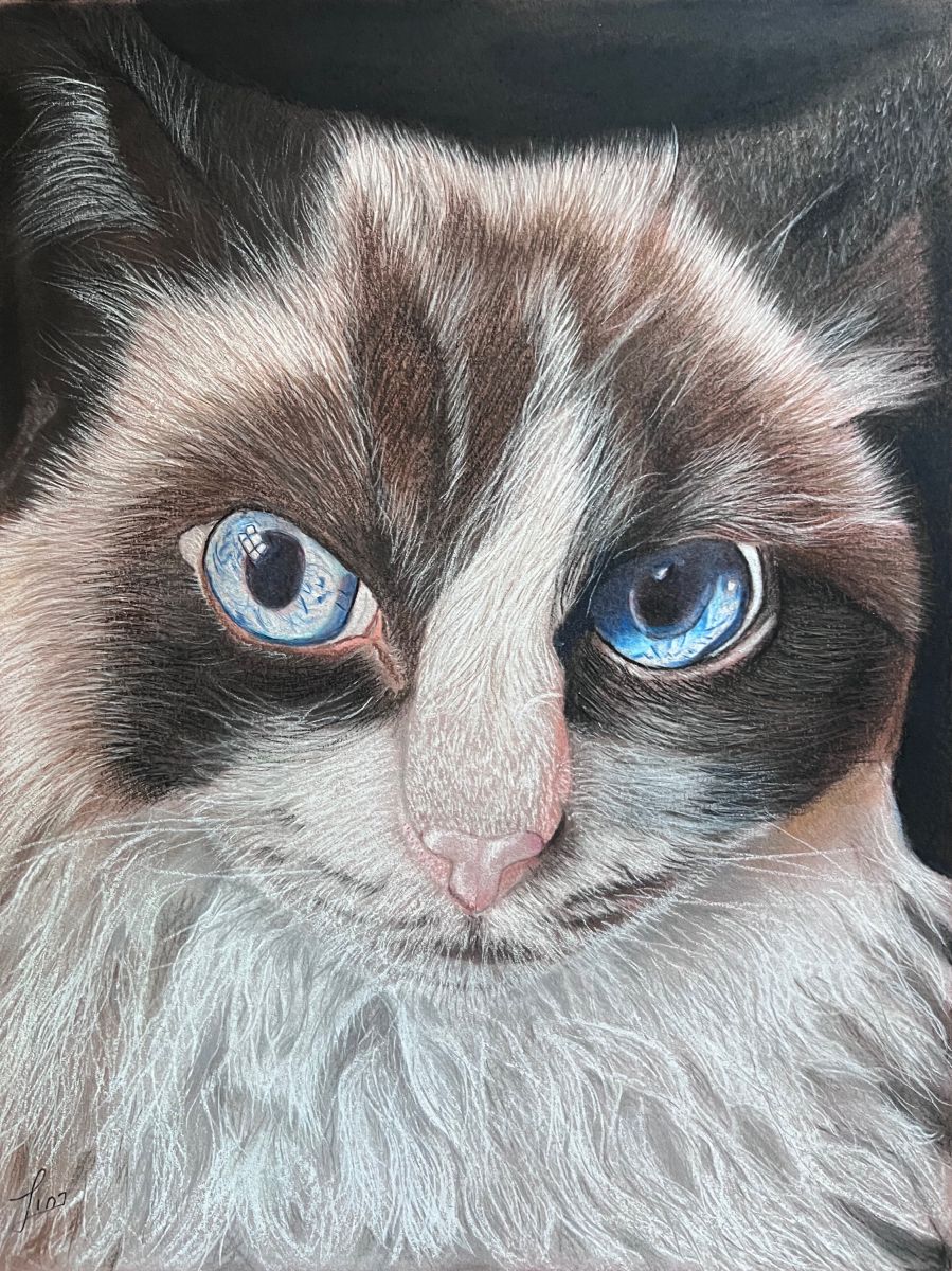 Blue Gaze